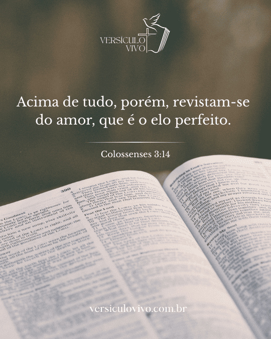 Versículo