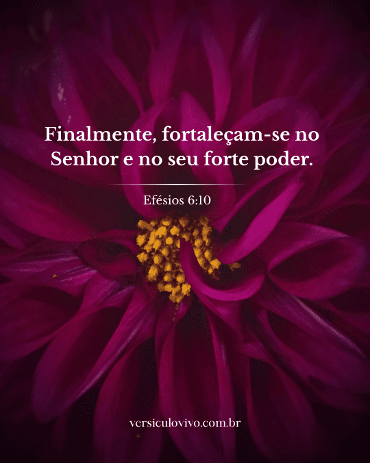 Versículo