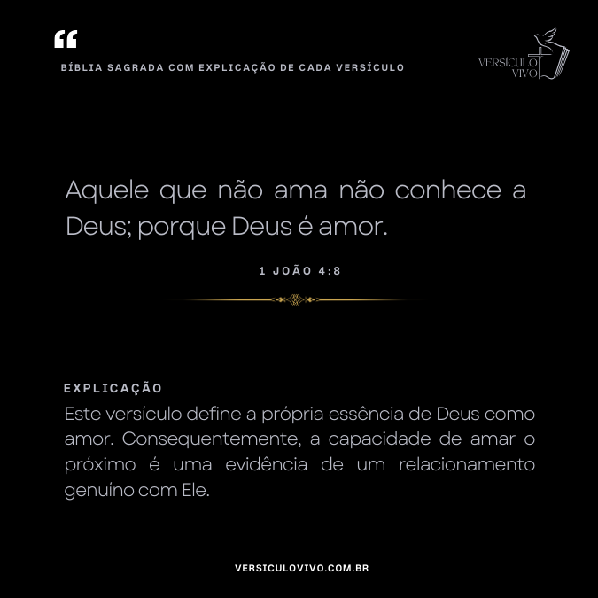 Bíblia Sagrada com Explicação de cada Versículo