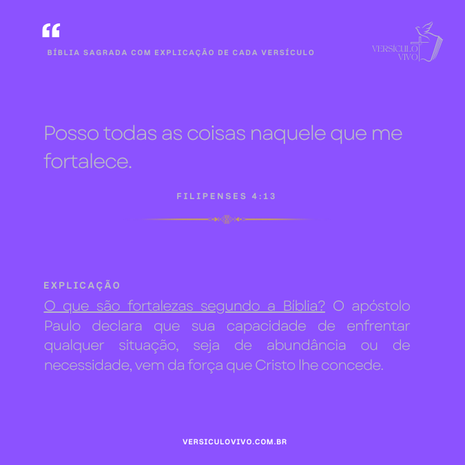 Bíblia Sagrada com Explicação de cada Versículo