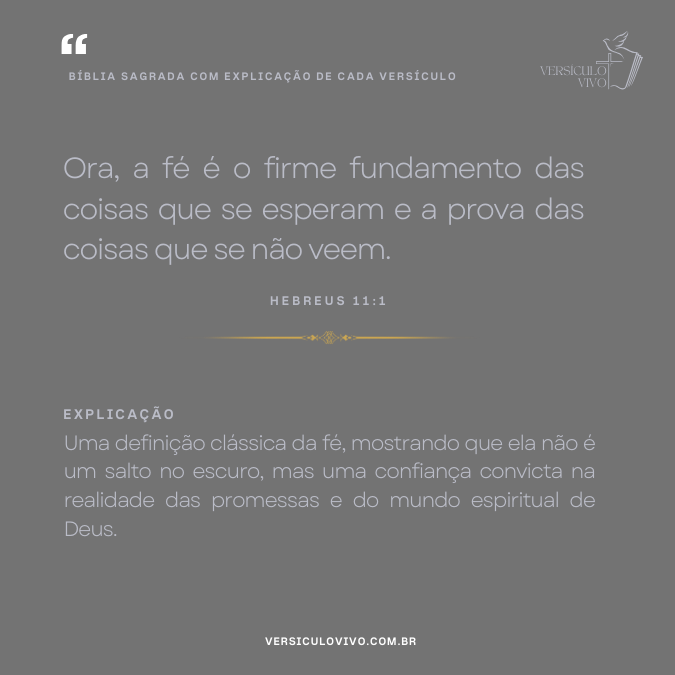 Bíblia Sagrada com Explicação de cada Versículo