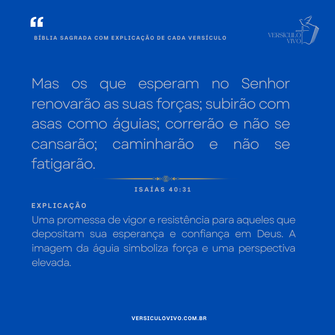 Bíblia Sagrada com Explicação de cada Versículo
