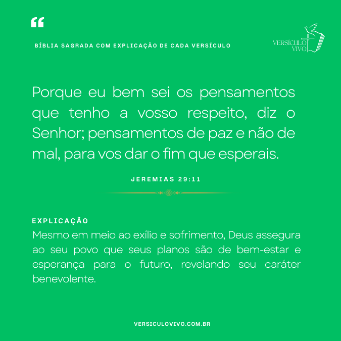 Bíblia Sagrada com Explicação de cada Versículo