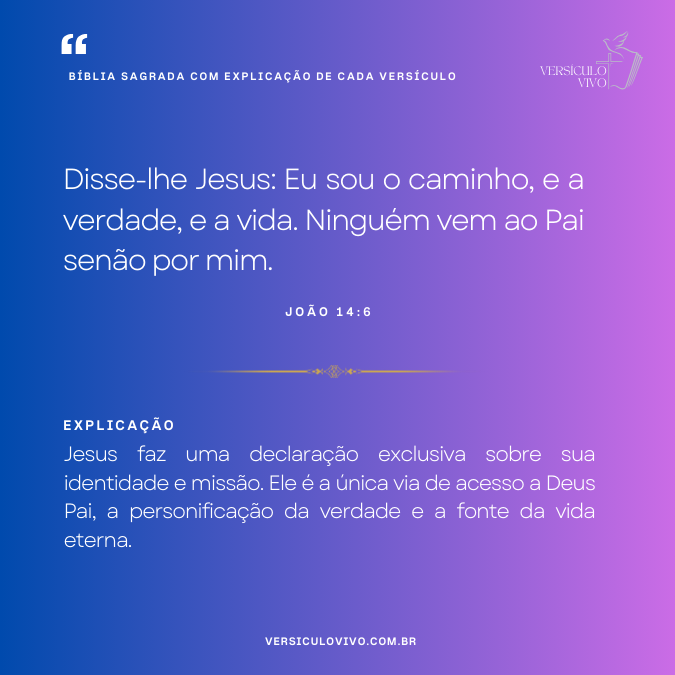 Bíblia Sagrada com Explicação de cada Versículo