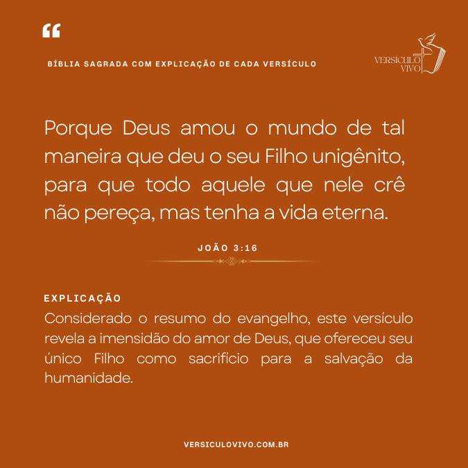 Bíblia Sagrada com Explicação de cada Versículo