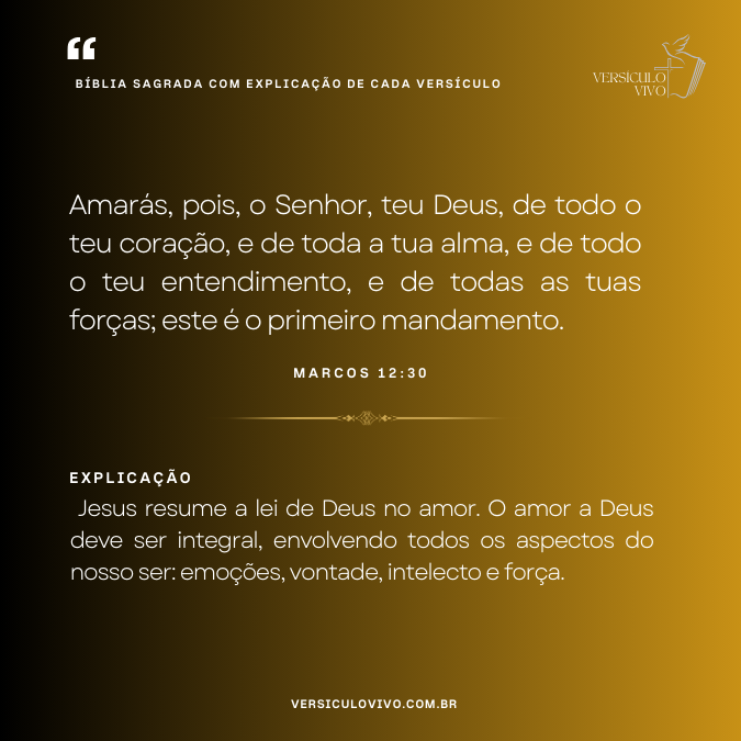 Bíblia Sagrada com Explicação de cada Versículo