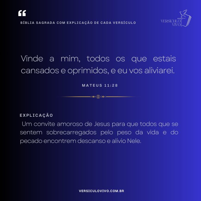 Bíblia Sagrada com Explicação de cada Versículo