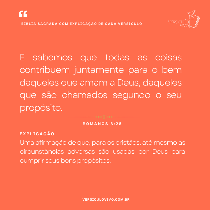 Bíblia Sagrada com Explicação de cada Versículo