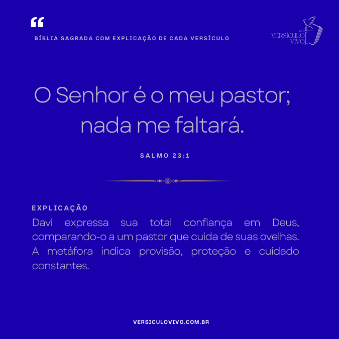 Bíblia Sagrada com Explicação de cada Versículo