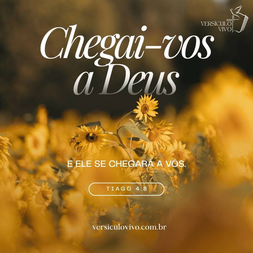 Versículos Bíblicos de Bom Dia