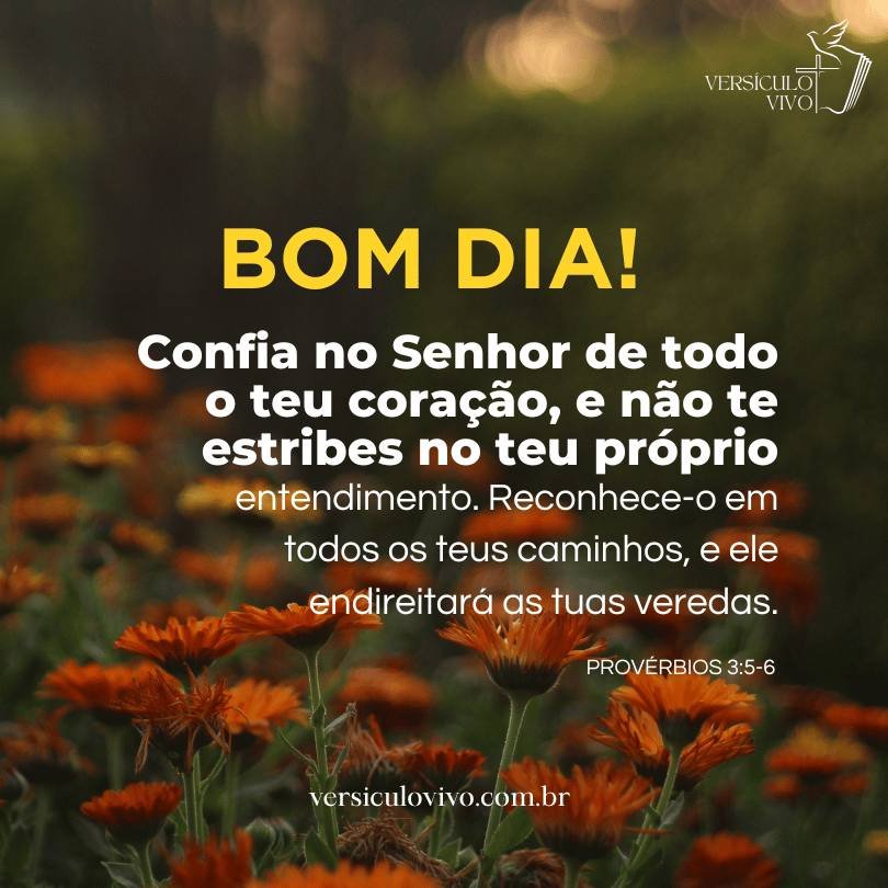 Versículos Bíblicos de Bom Dia