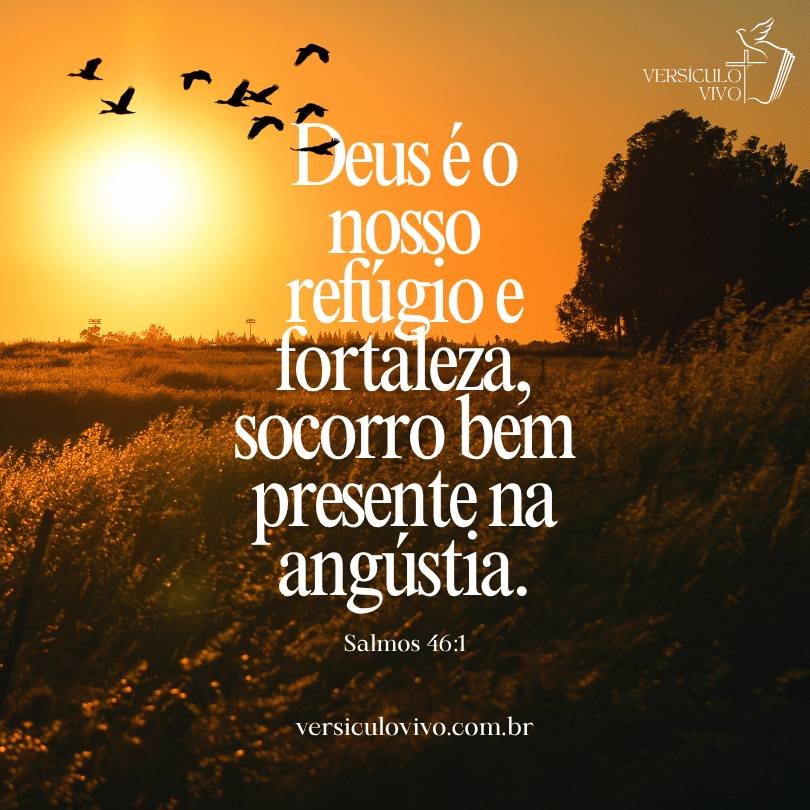 Versículos Bíblicos de Bom Dia