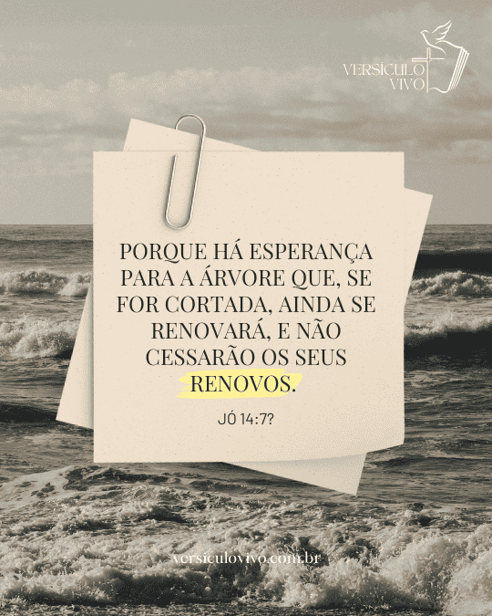 O que diz Jó 14 versículo 7