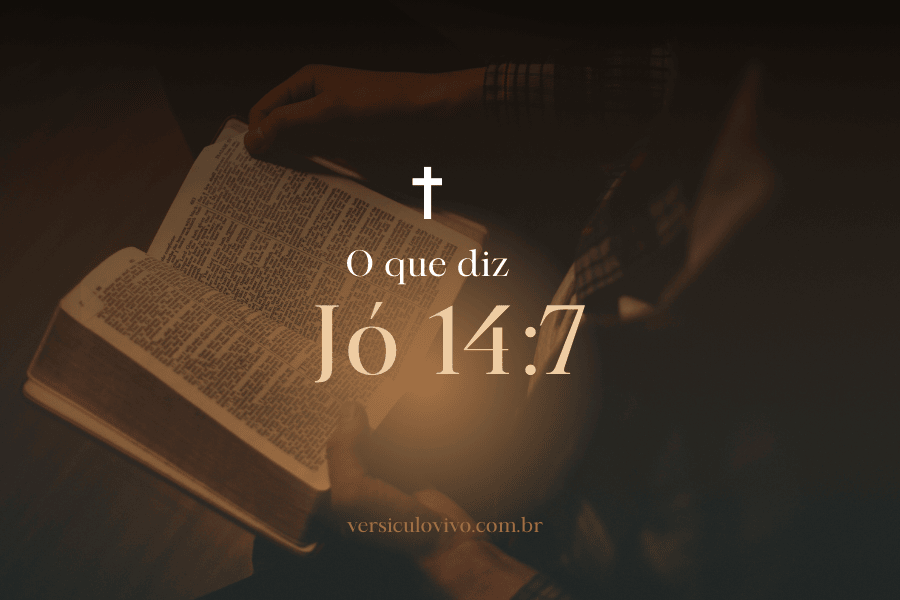 o-que-diz-jo-14-versiculo-7