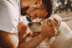 Para onde vão os animais quando morrem, segundo a Bíblia?