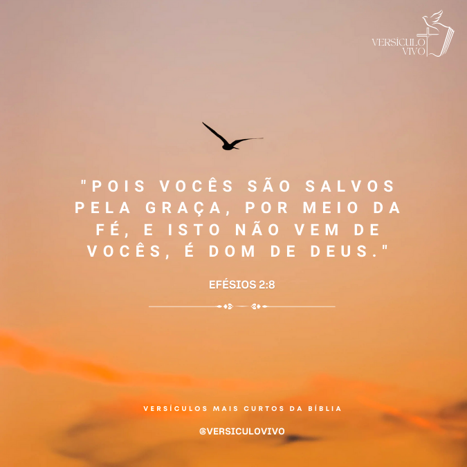 Versículo Efésios 2:8 sobre graça