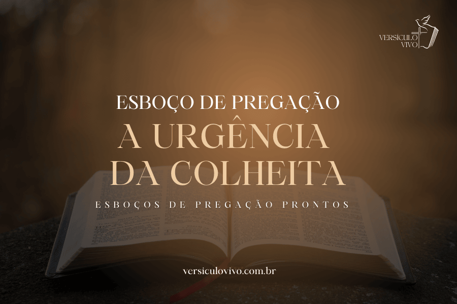 A Urgência da Colheita: Os Campos Estão Brancos