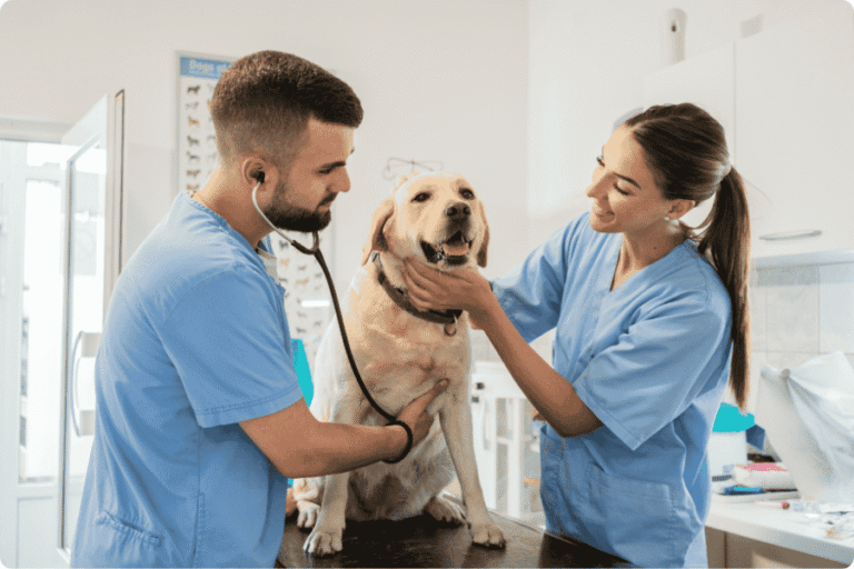 Mensagem e Versículos Bíblicos para o Dia do Veterinário