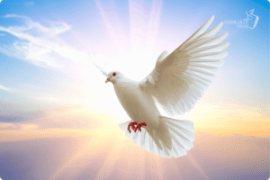 Fruto do Espírito Versículo