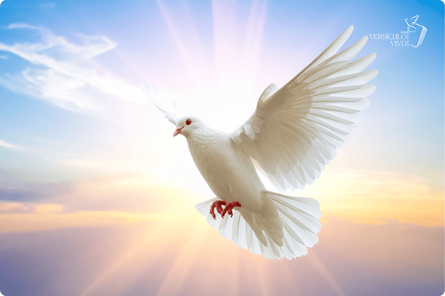 Fruto do Espírito Versículo