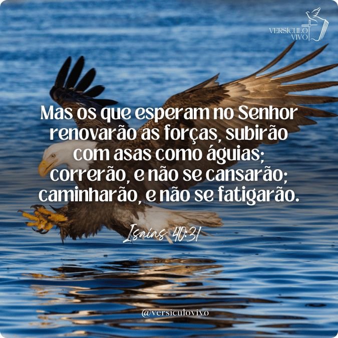 Me fale um versículo da bíblia