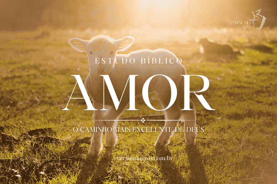 Estudo biblico sobre amor