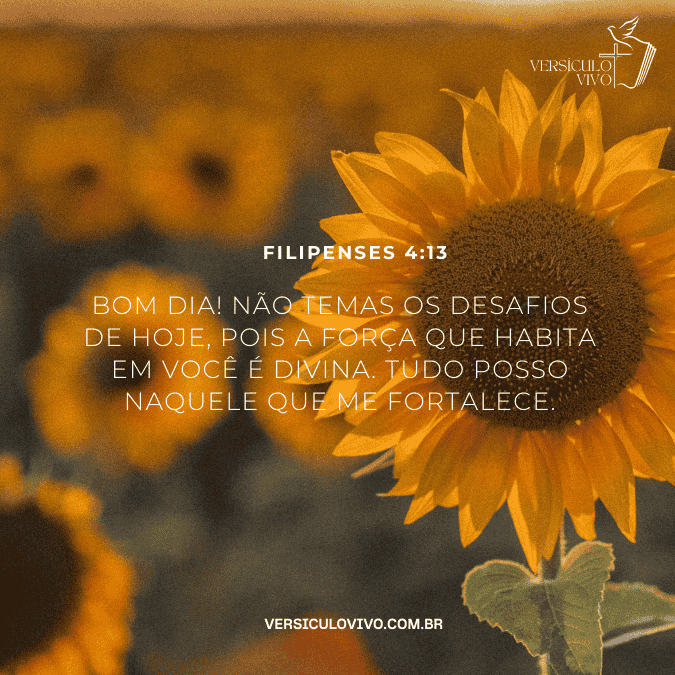 Mensagem de Bom dia evangélica de motivação