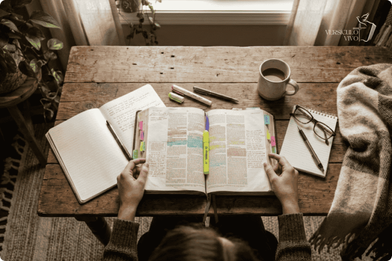 Qual a ordem cronológica para ler a Bíblia pela primeira vez?