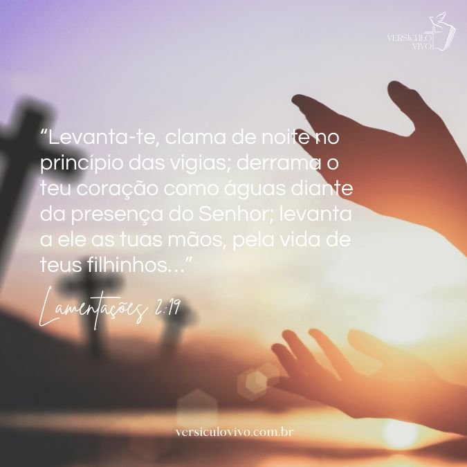 Lamentações 2:19
