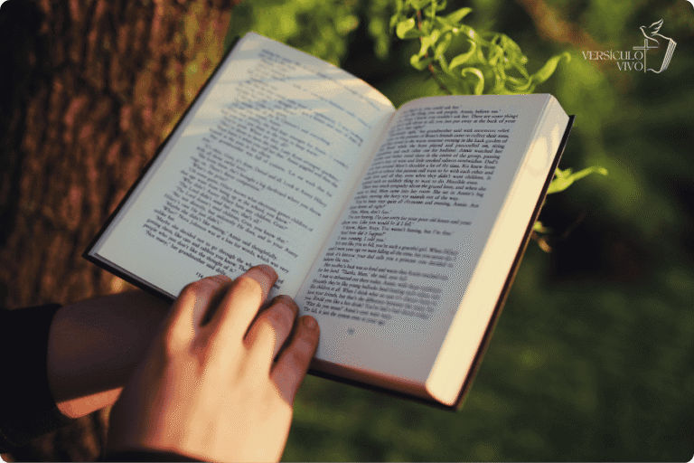 Top 14 Livros Cristãos para Você se Inspirar e Transformar sua Fé