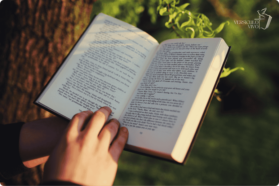 Top Livros Cristãos para Você se Inspirar e Transformar sua Fé