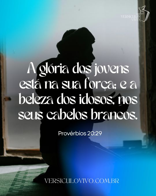 Provérbios 20:29